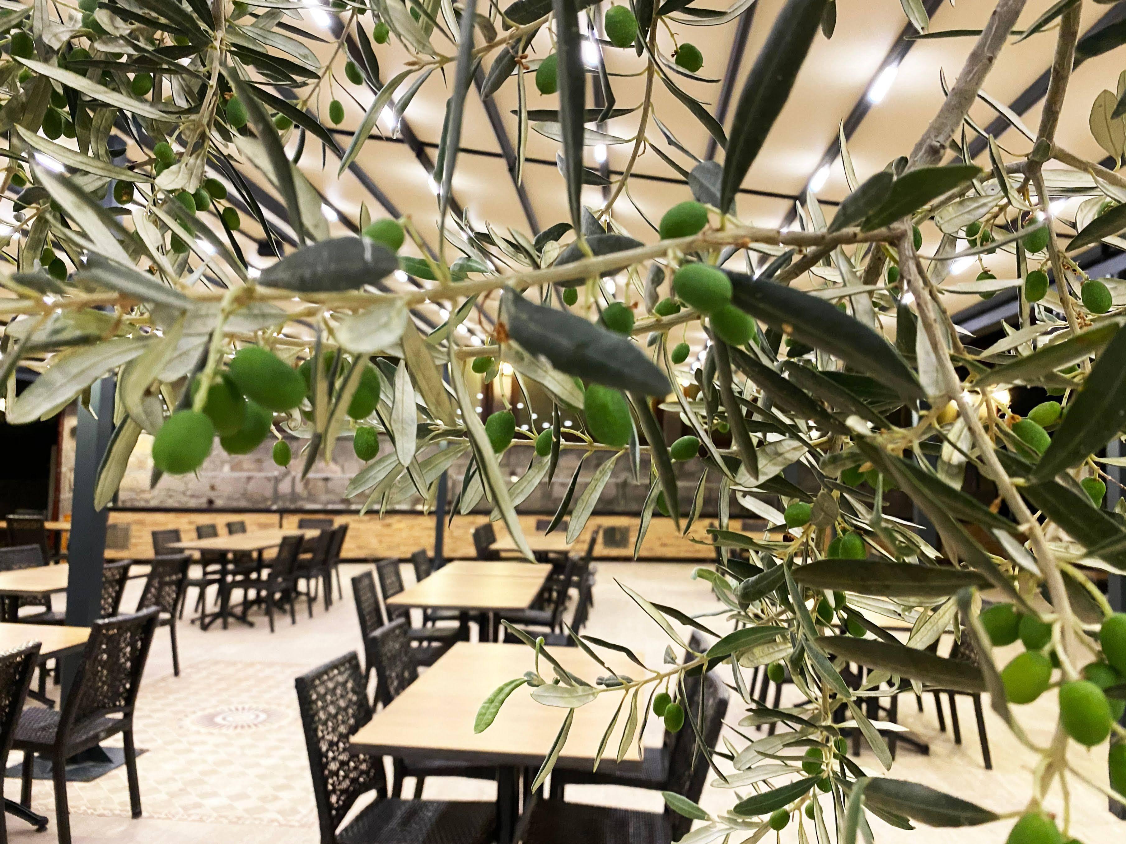 Assos Park Hotel Ngoại thất bức ảnh