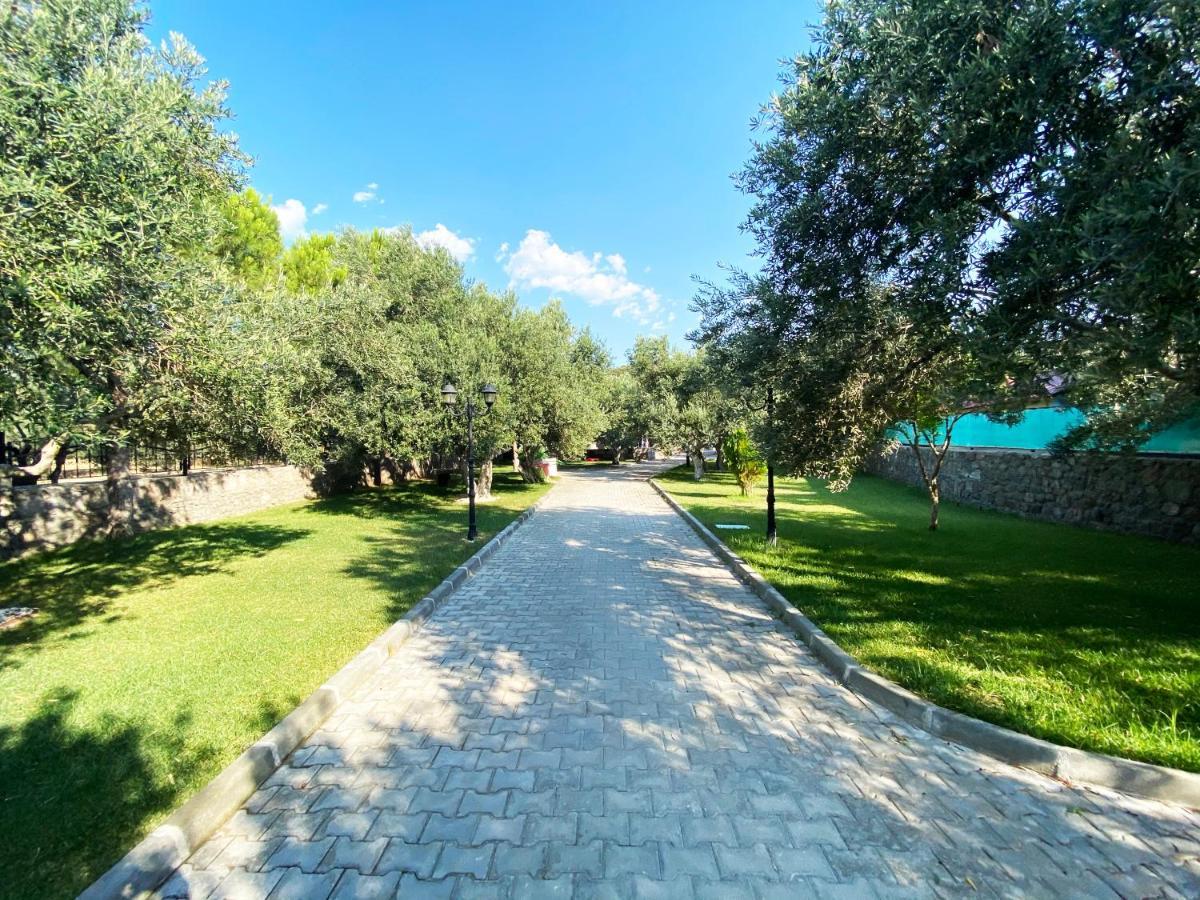 Assos Park Hotel Ngoại thất bức ảnh