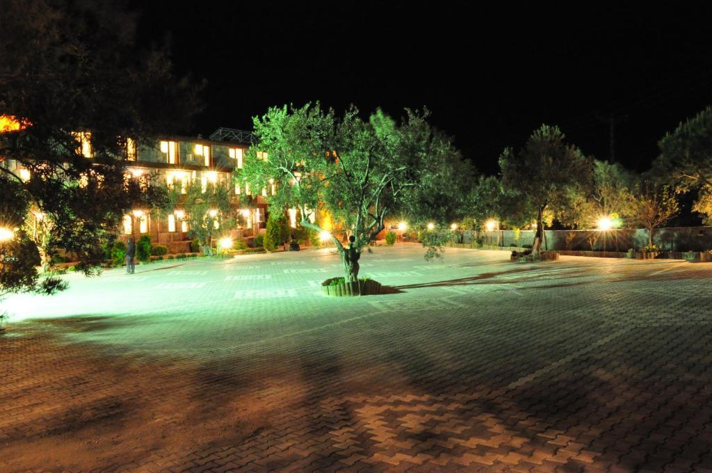 Assos Park Hotel Ngoại thất bức ảnh